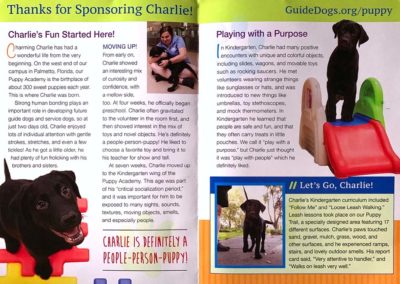 Charlie - Life in Puppy Kindergarten