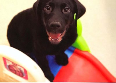 Charlie Pupdate 1