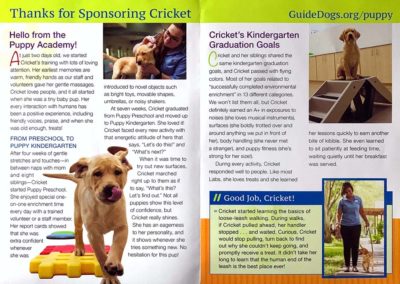Cricket - Life in Puppy Kindergarten