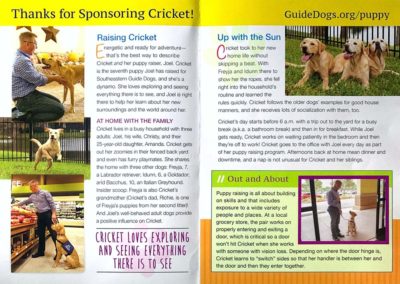 Cricket - Life with my Puppy Raiser